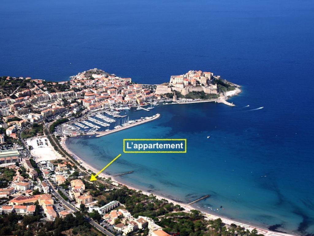 Appartement Ou Studio La Mer & La Plage A Vos Pieds Calvi Calvi  Eksteriør bilde